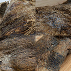 Mammoth Meat