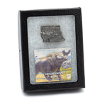 Megacerops Bone - Eocene Fossil