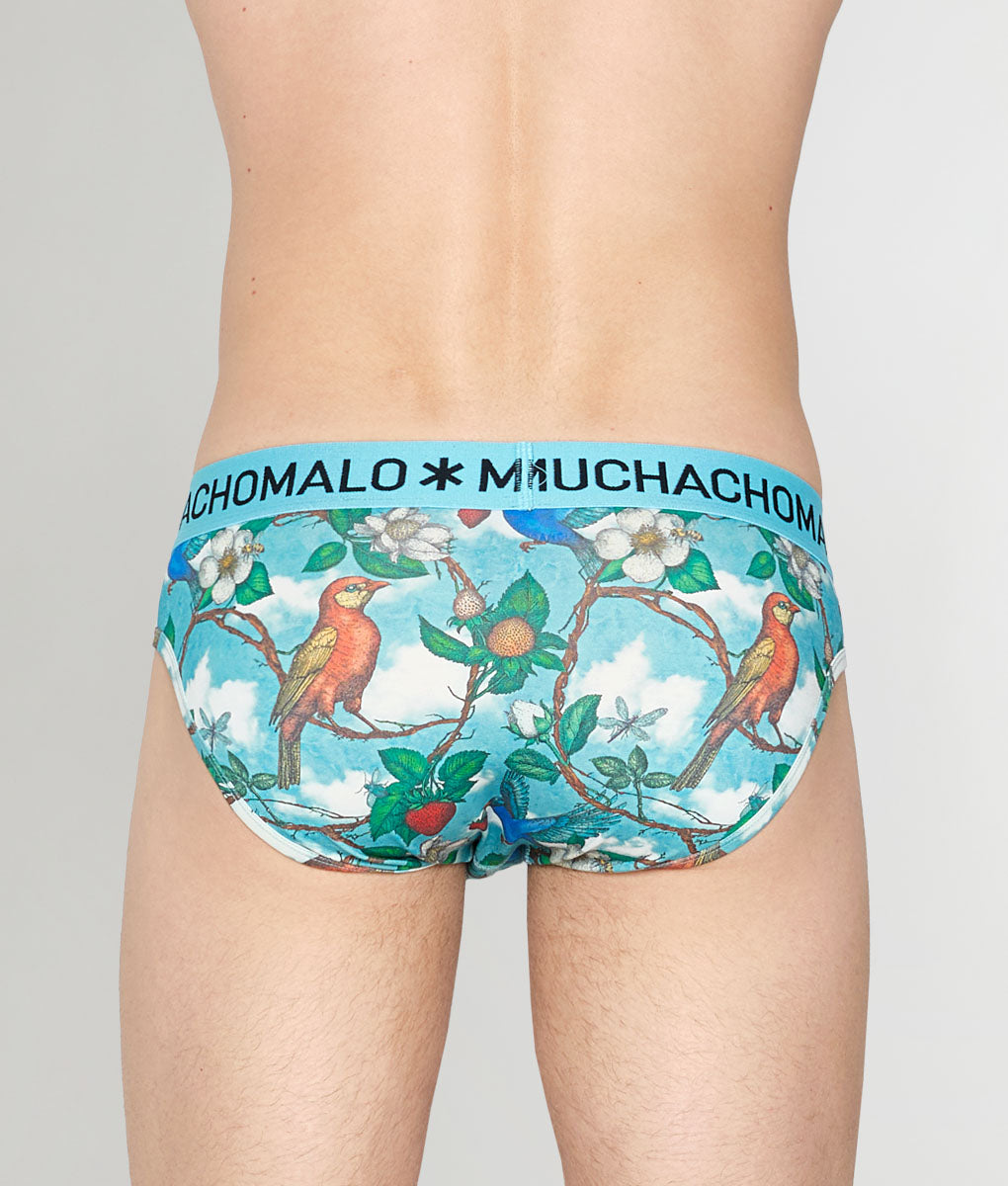 Muchachomalo Fruit Origin Brief
