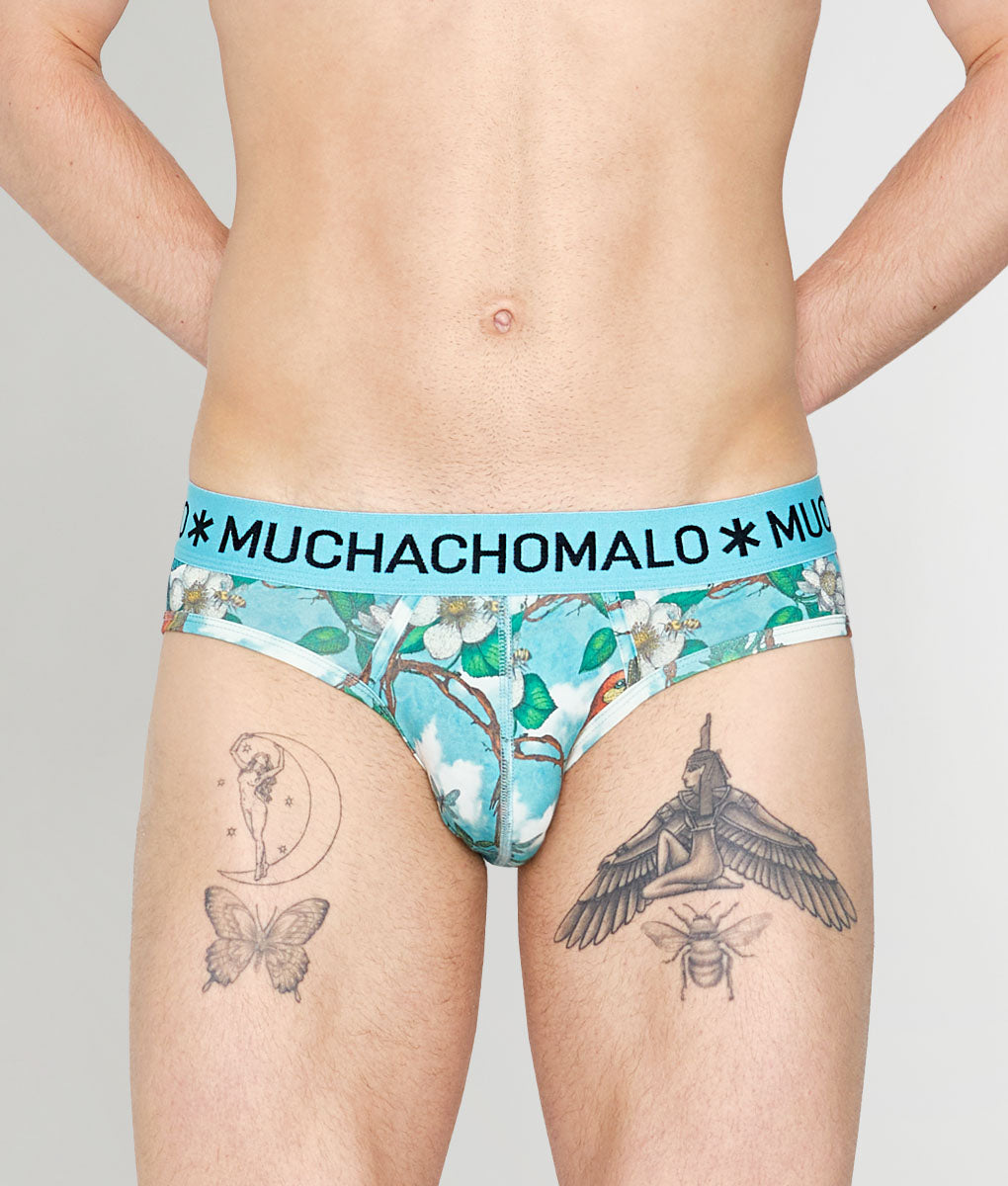 Muchachomalo Fruit Origin Brief