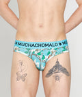 Muchachomalo Fruit Origin Brief