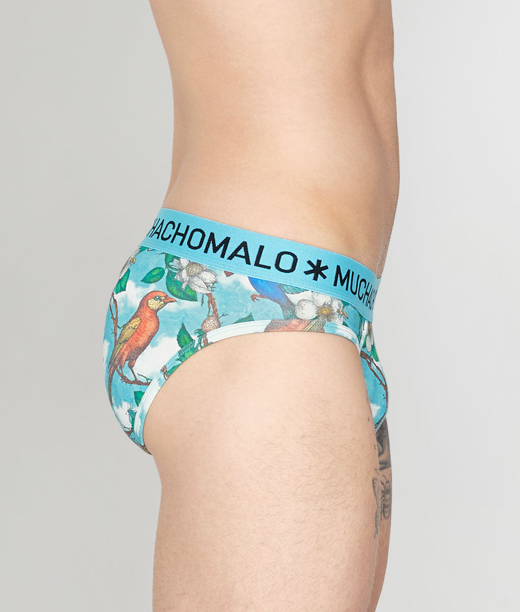 Muchachomalo Fruit Origin Brief