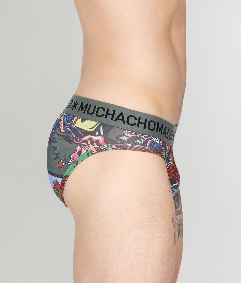 Muchachomalo Fruit Origin Brief