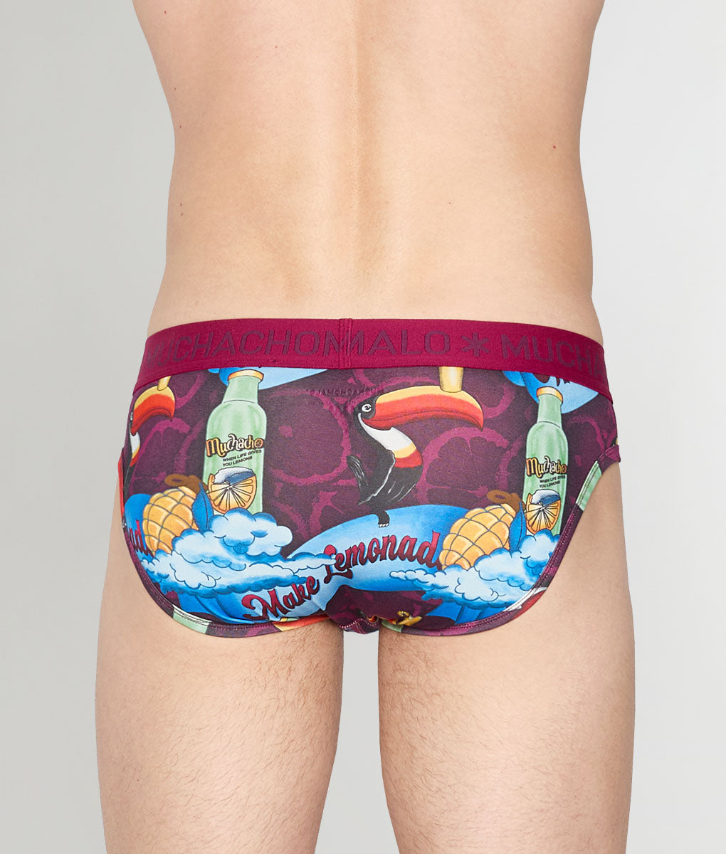 Muchachomalo Summer Fruit Brief