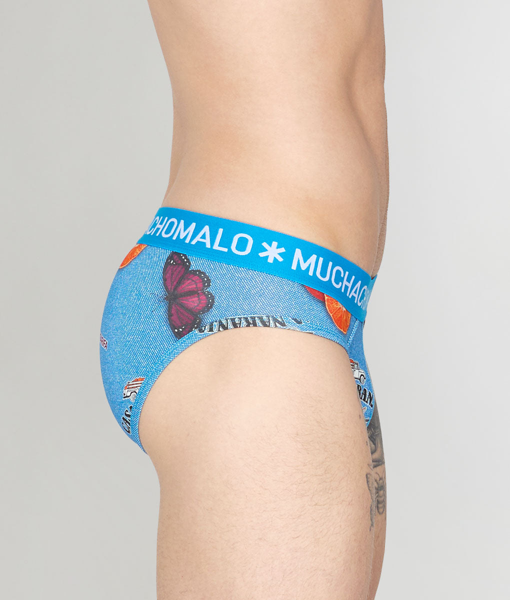 Muchachomalo Summer Fruit Brief