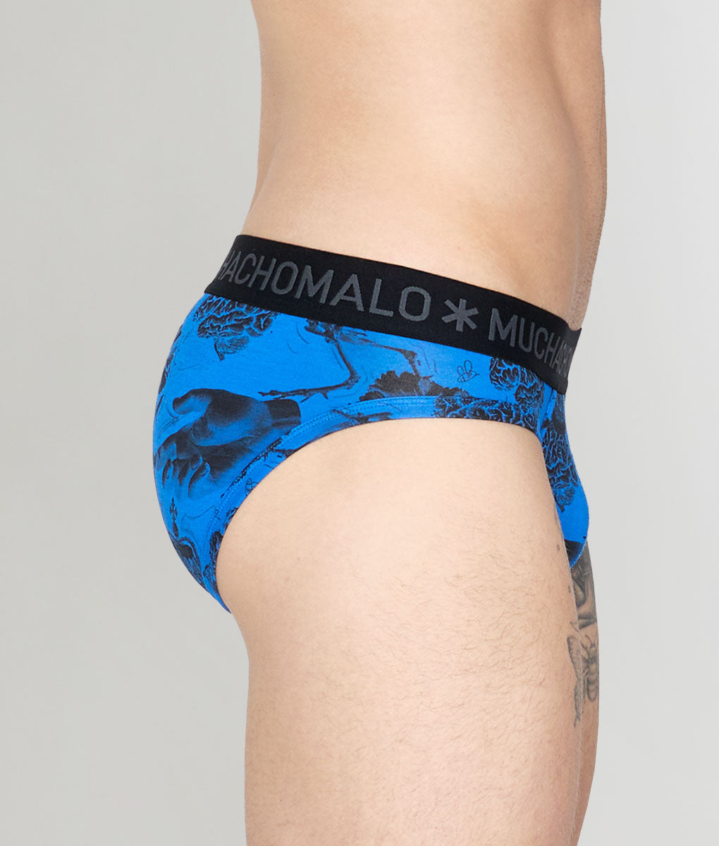 Muchachomalo Arty Farty Brief