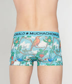 Muchachomalo Fruit Origin Trunk