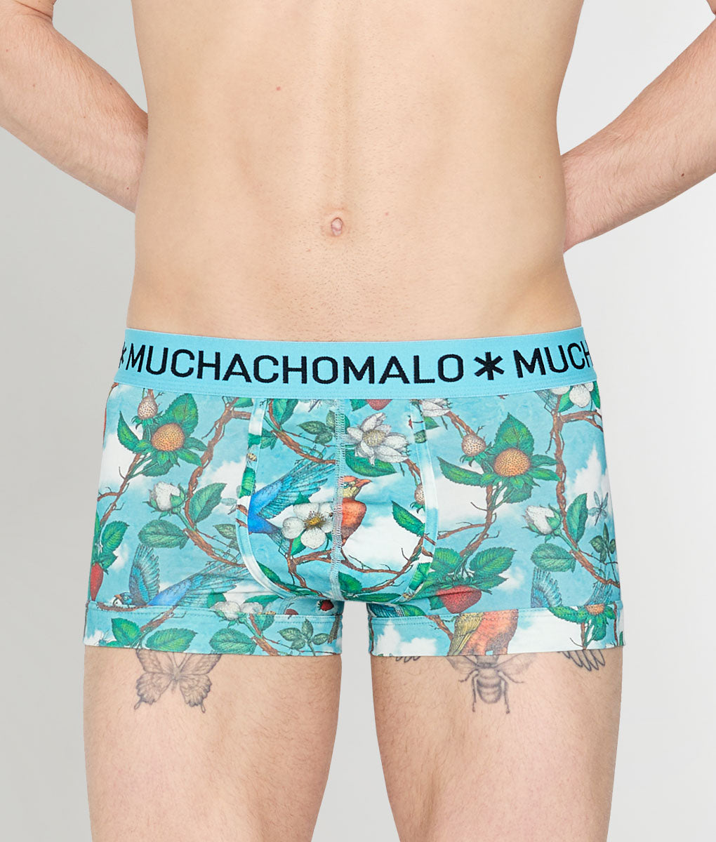 Muchachomalo Fruit Origin Trunk