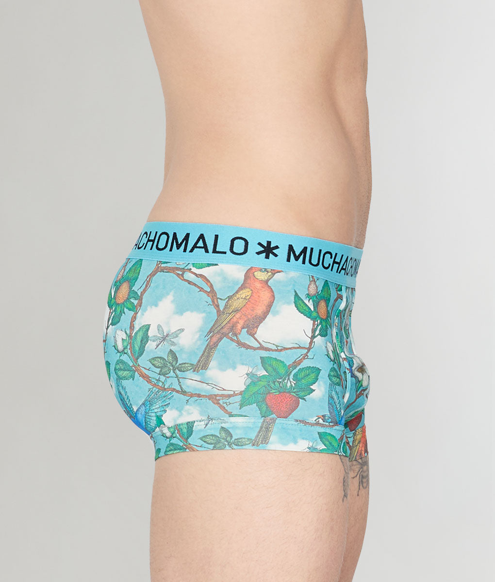 Muchachomalo Fruit Origin Trunk
