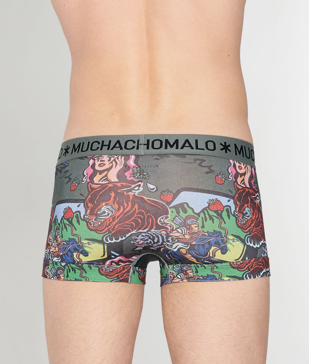 Muchachomalo Fruit Origin Trunk