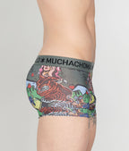 Muchachomalo Fruit Origin Trunk