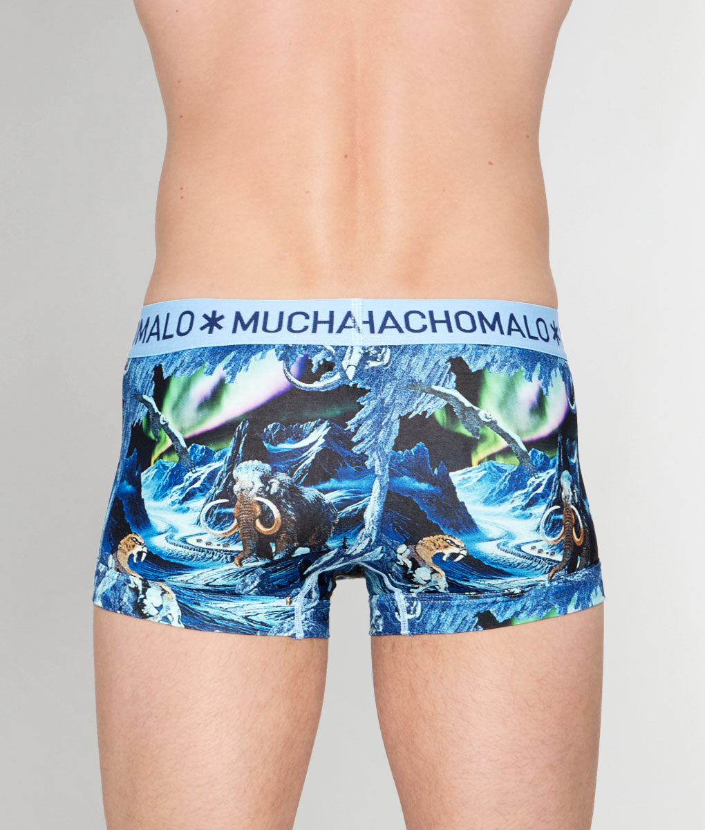 Muchachomalo Pre History Trunk