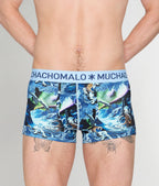 Muchachomalo Pre History Trunk