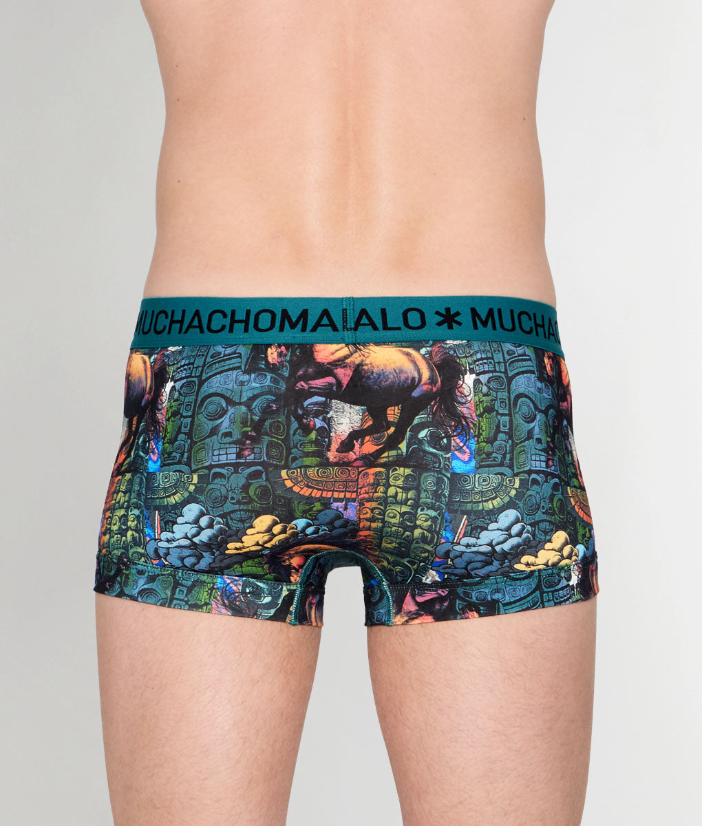 Muchachomalo Totem Horse Trunk