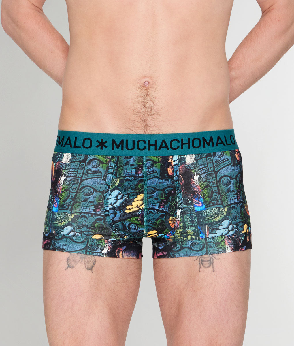 Muchachomalo Totem Horse Trunk