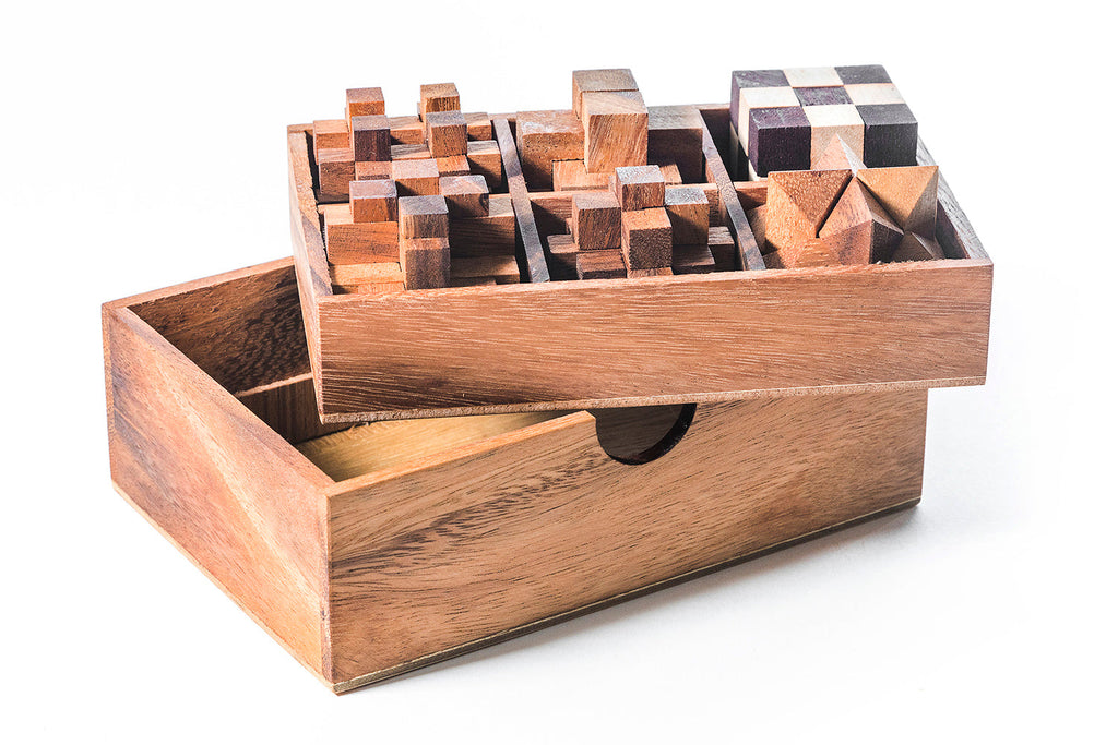 6 STEM Puzzle Gift Set - Wooden Puzzle Brain Teaser