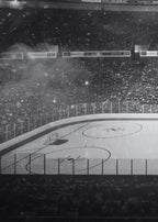 Hockey Rink 3-Pack Bundle