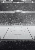 Hockey Rink 3-Pack Bundle