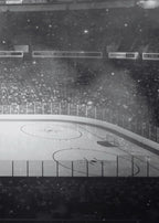 Hockey Rink 3-Pack Bundle