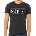 NAPS Periodic Table Science