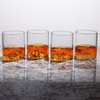 National Parks Tumbler Set of 4