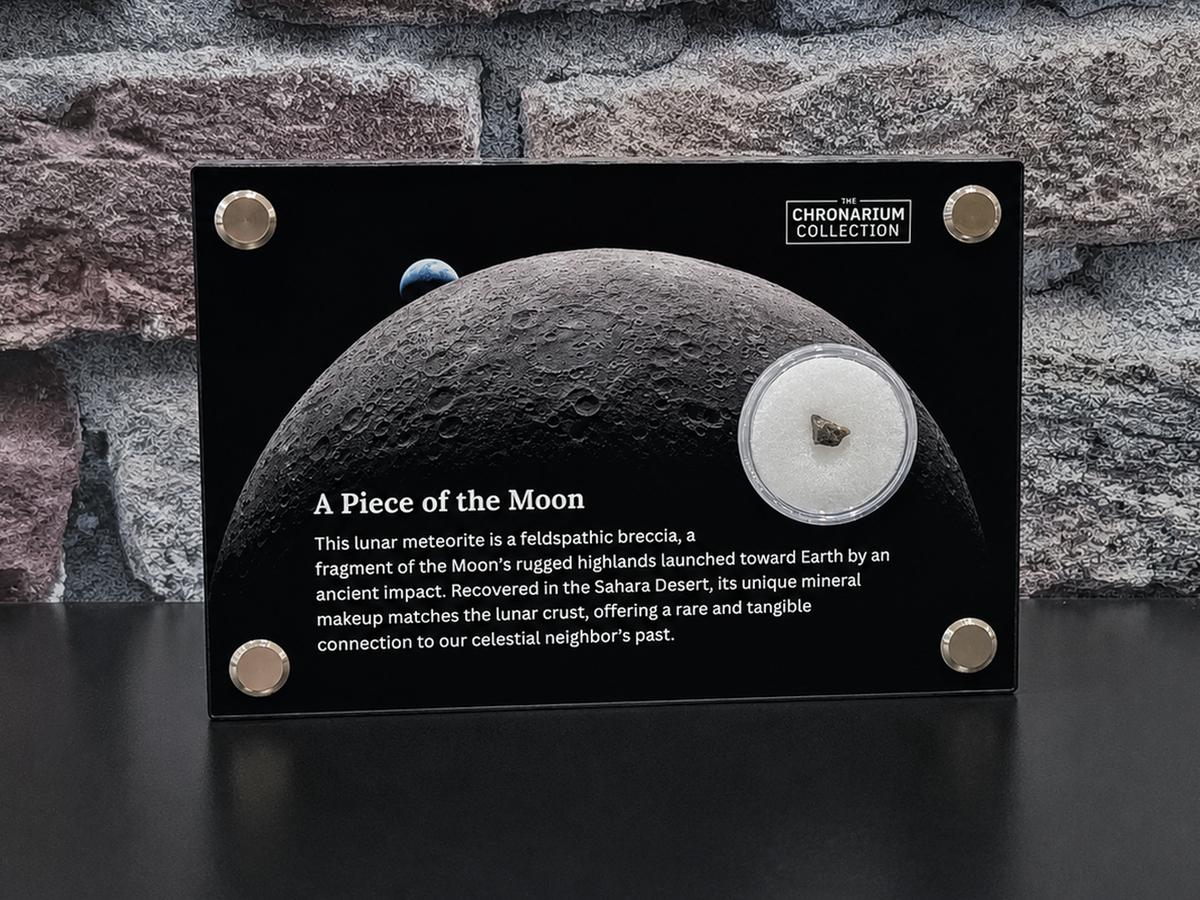 A Piece of the Moon