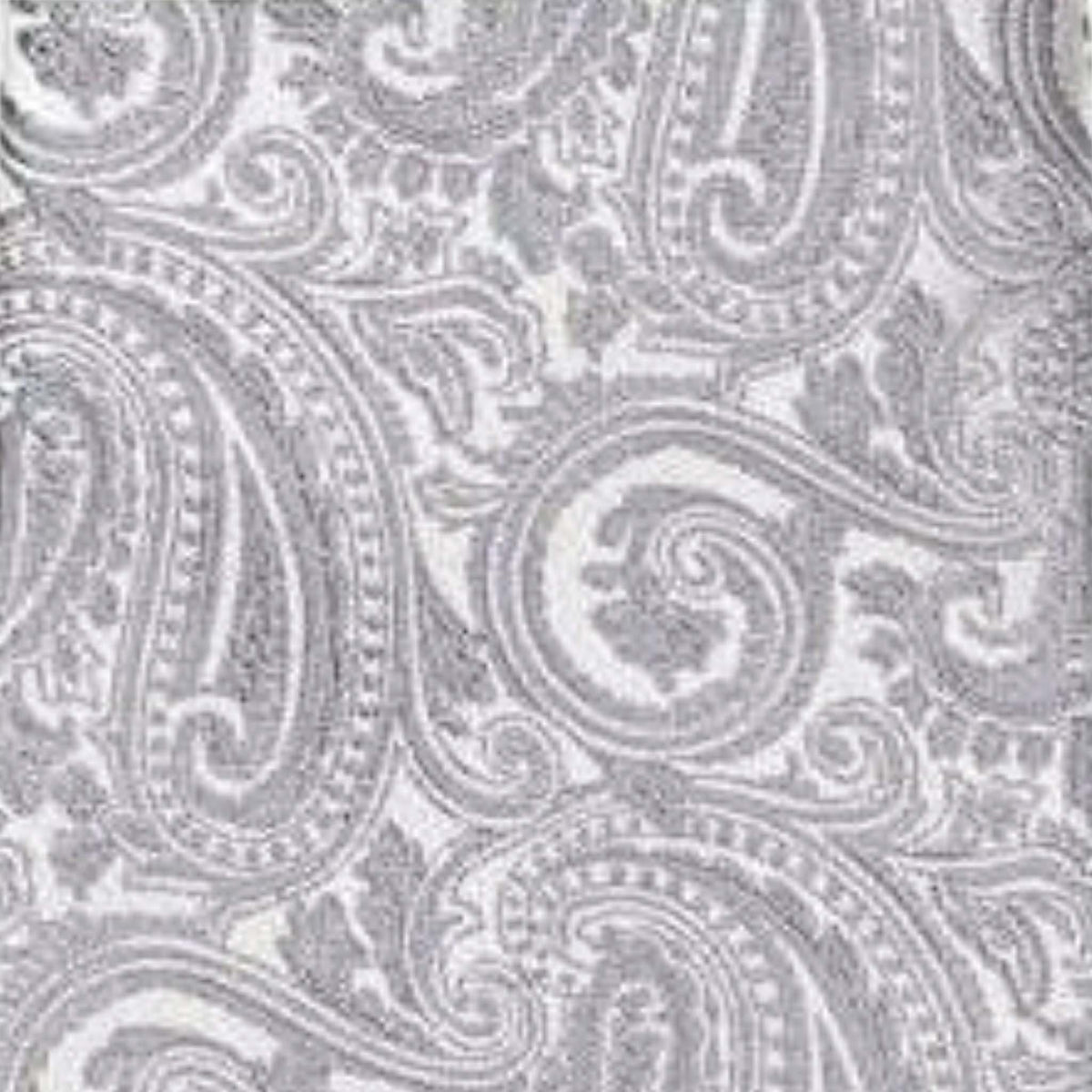 Vittorio Farina Men's Paisley Design Necktie & Pocket Square
