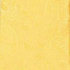 Vittorio Farina Men's Paisley Design Necktie & Pocket Square