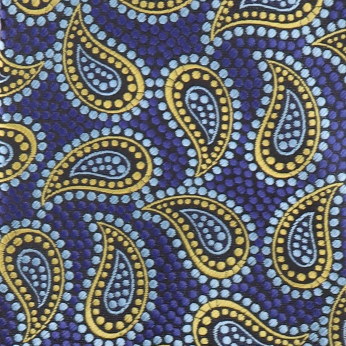 Vittorio Farina Men's Paisley Design Necktie & Pocket Square