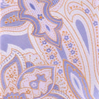 Vittorio Farina Men's Paisley Design Necktie & Pocket Square