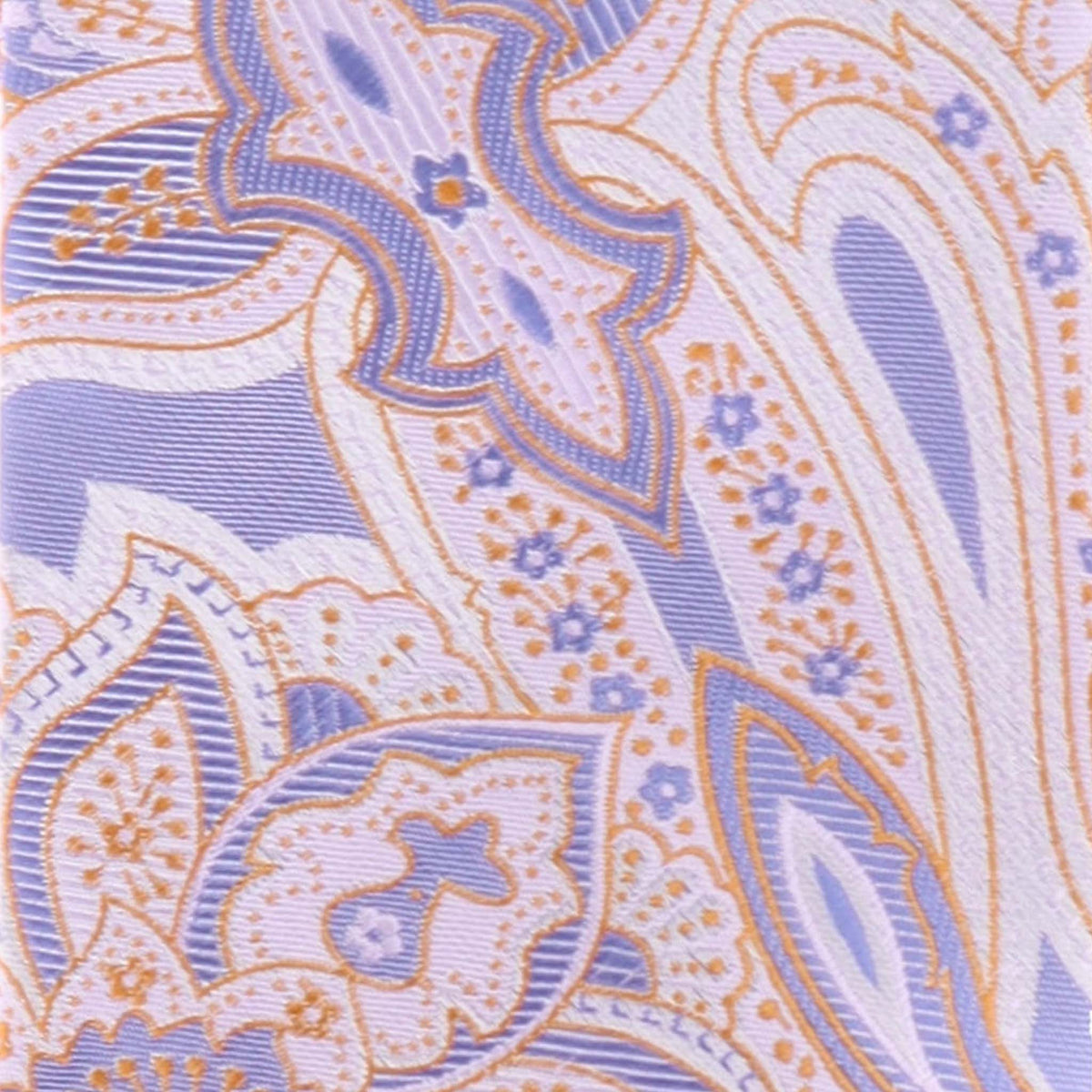 Vittorio Farina Men's Paisley Design Necktie & Pocket Square