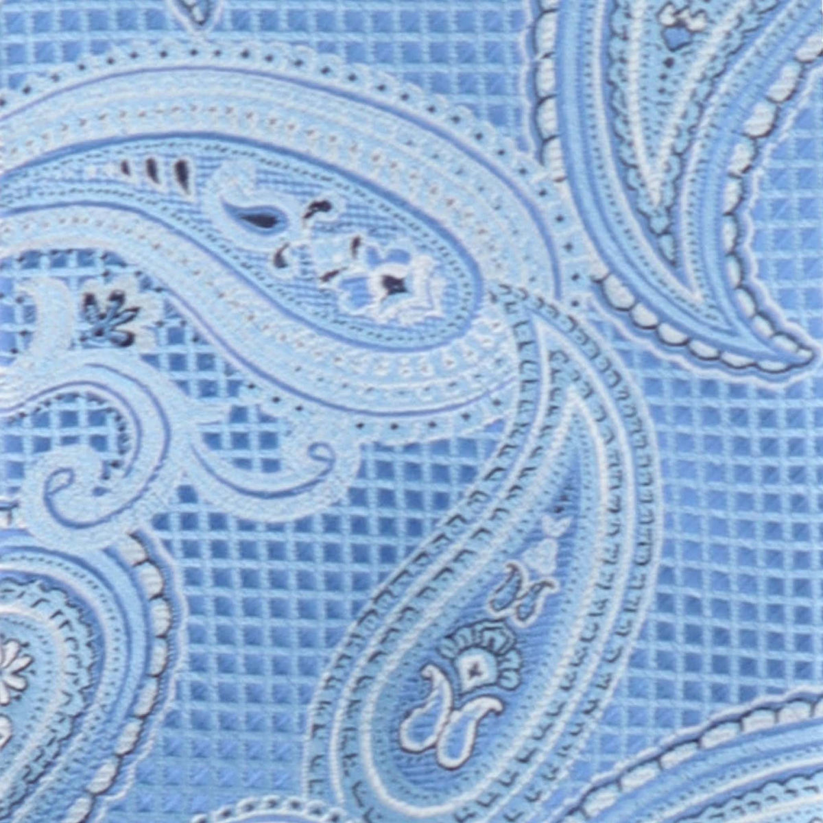 Vittorio Farina Men's Paisley Design Necktie & Pocket Square