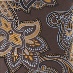 Vittorio Farina Men's Paisley Design Necktie & Pocket Square
