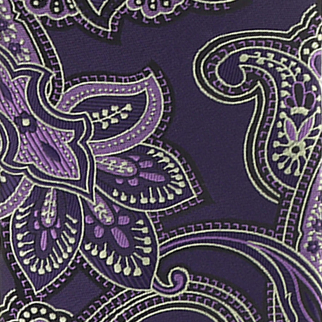 Vittorio Farina Men's Paisley Design Necktie & Pocket Square