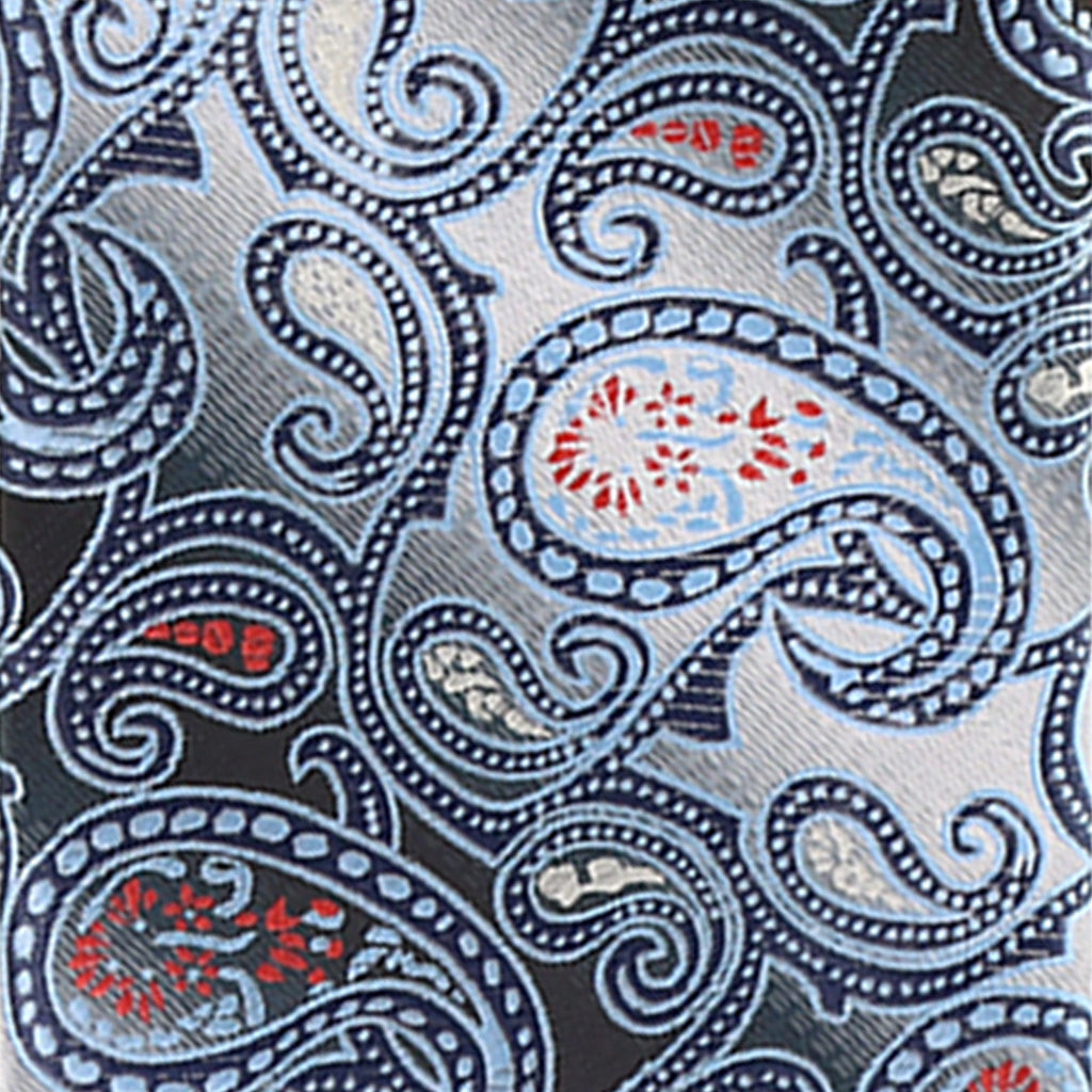 Vittorio Farina Men's Paisley Design Necktie & Pocket Square