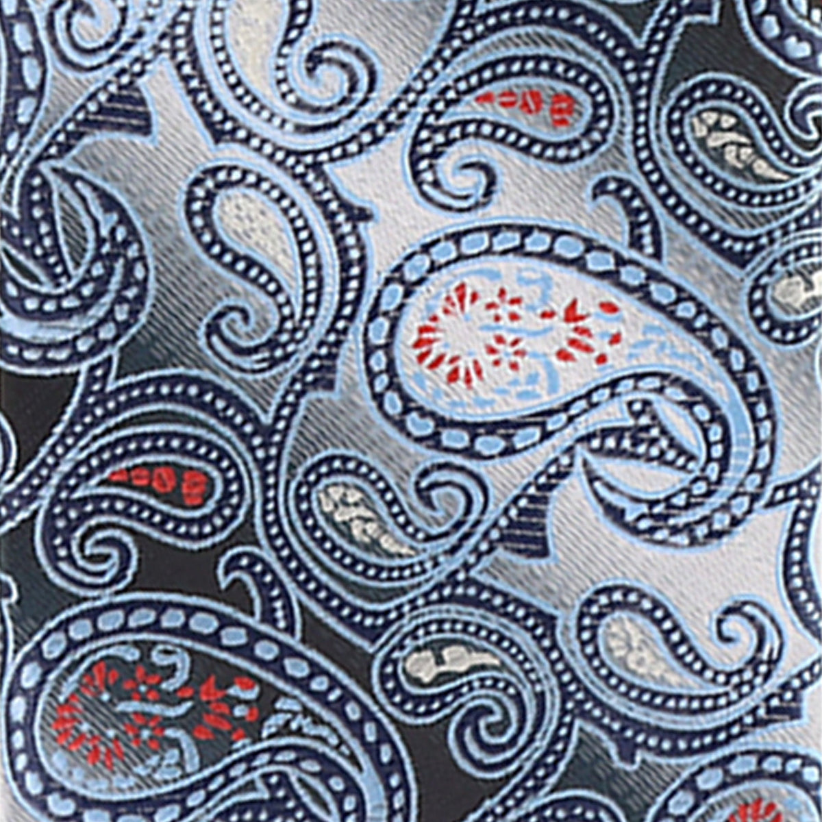 Vittorio Farina Men's Paisley Design Necktie & Pocket Square
