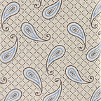 Vittorio Farina Men's Paisley Design Necktie & Pocket Square