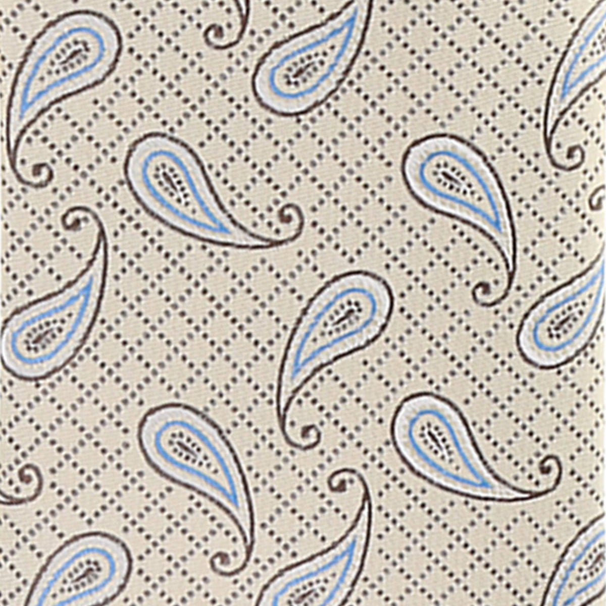 Vittorio Farina Men's Paisley Design Necktie & Pocket Square