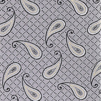 Vittorio Farina Men's Paisley Design Necktie & Pocket Square