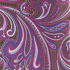 Vittorio Farina Men's Paisley Design Necktie & Pocket Square