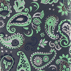 Vittorio Farina Men's Paisley Design Necktie & Pocket Square