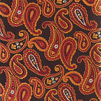 Vittorio Farina Men's Paisley Design Necktie & Pocket Square