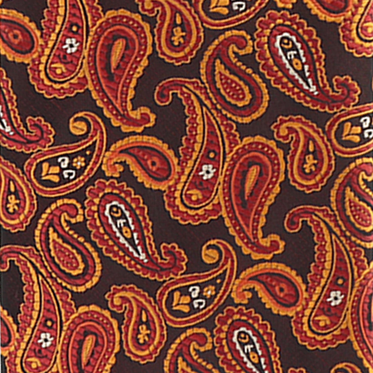 Vittorio Farina Men's Paisley Design Necktie & Pocket Square