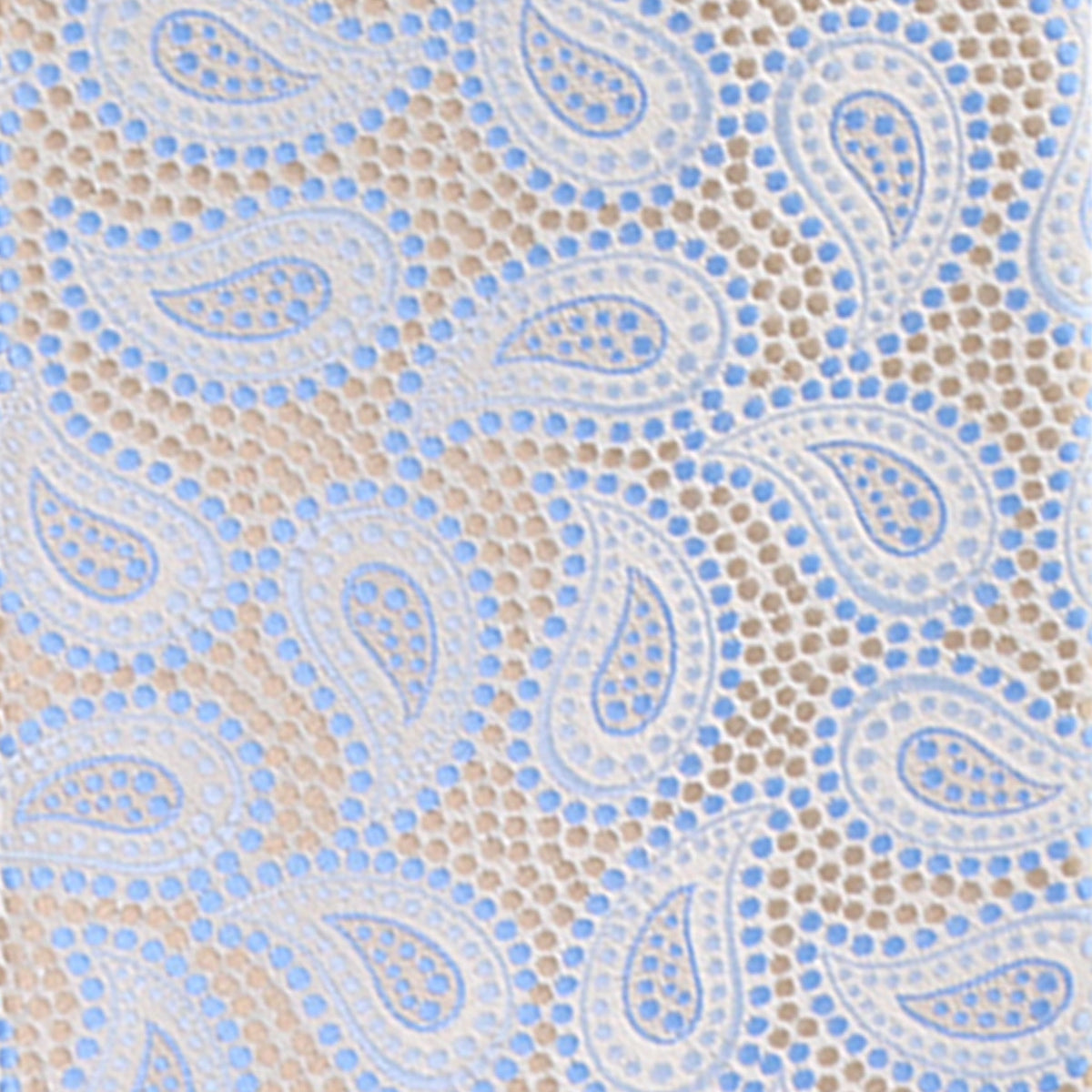 Vittorio Farina Men's Paisley Design Necktie & Pocket Square