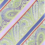 Vittorio Farina Men's Paisley Design Necktie & Pocket Square