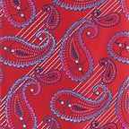 Vittorio Farina Men's Paisley Design Necktie & Pocket Square