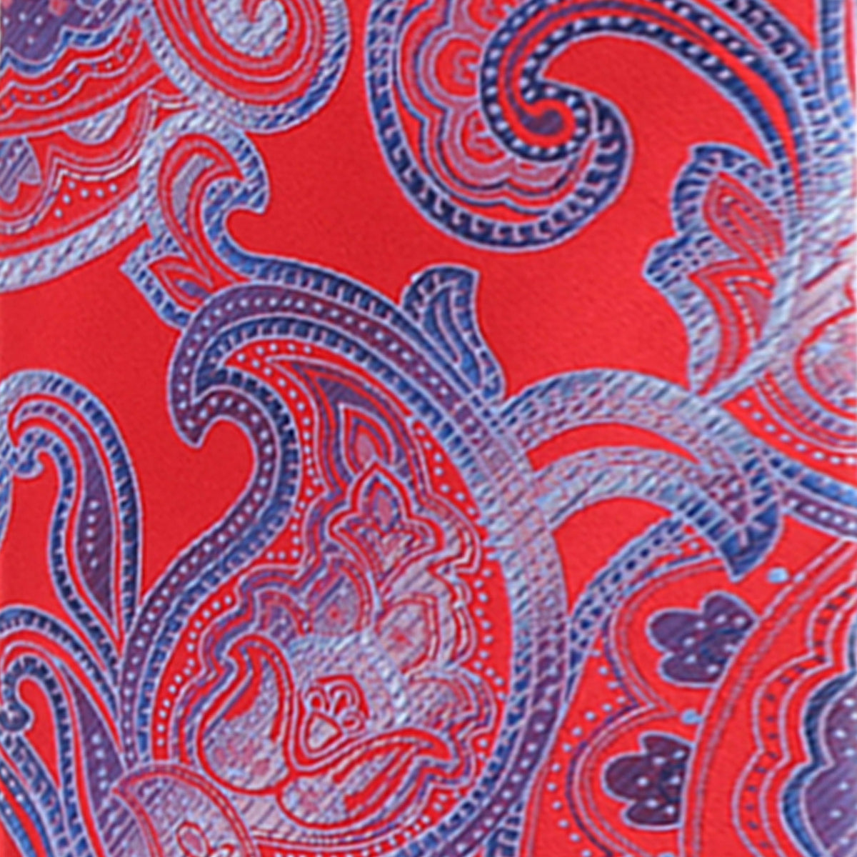 Vittorio Farina Men's Paisley Design Necktie & Pocket Square
