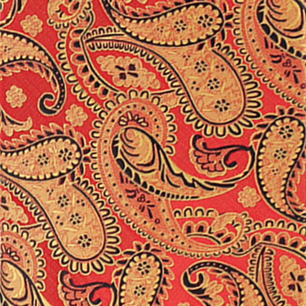 Vittorio Farina Men's Paisley Design Necktie & Pocket Square
