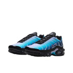 Nike Air Max Plus 'Black Hydrangeas'