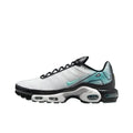 Nike Air Max Plus 'Mercurial Vapor'